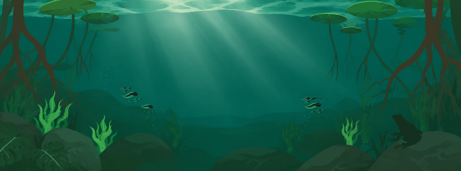 Sponsor Background